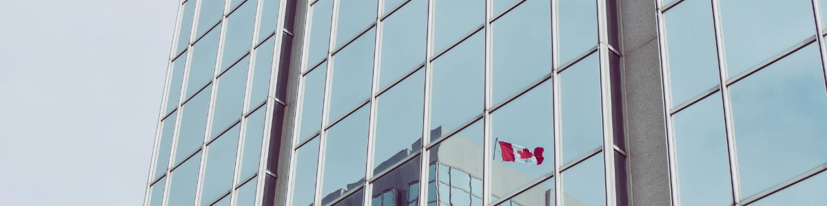 海牙認證成員國大揭秘：你的文件是否被全球認可？